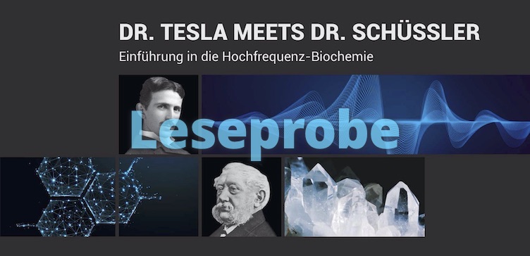 Tesla Meets Schuessler Leseprobe Preview